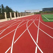 Semi-presint sportflak foar skoallen